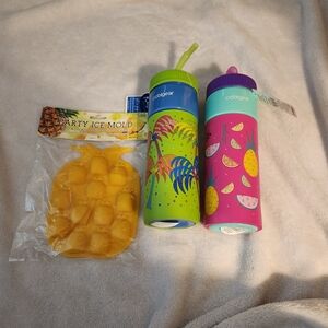 Tropical Water Bottle Set - Blue, Green, Pink